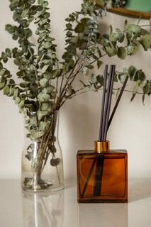 Fragrance sticks 