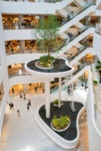 Where to shop for cologne online 