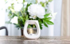 Scented wax melts reviews
