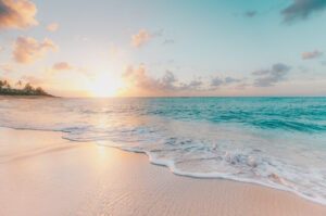 The best summer fragrances for women