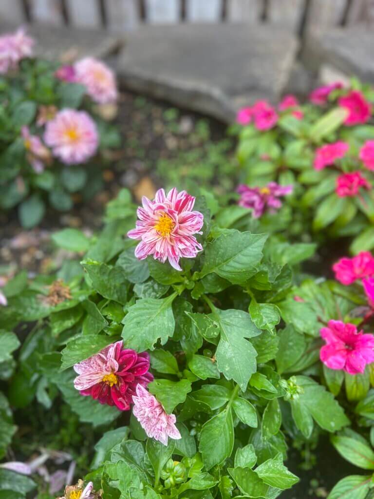 Perfume that smells like flowers