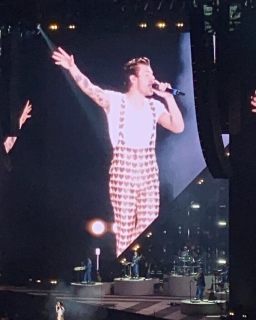 Harry styles Pleasing range