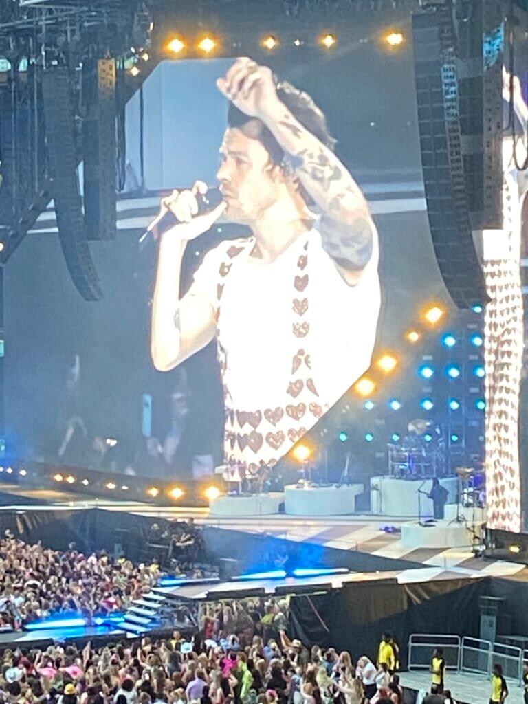 Harry Styles Pleasing range