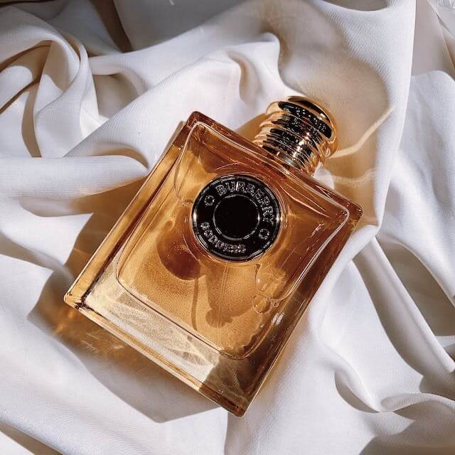 Perfume trends for 2024